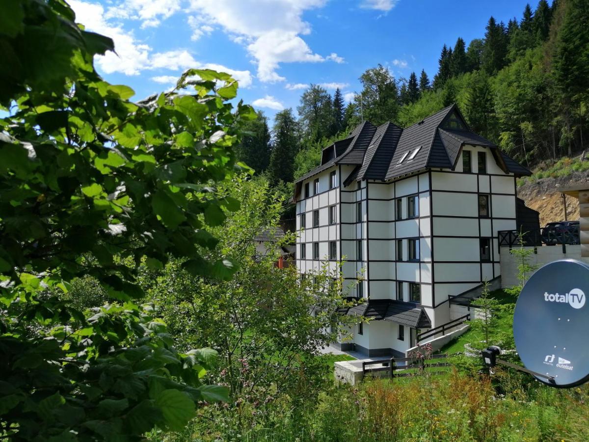 Vila Irina Kopaonik - Apartman Jovana Экстерьер фото