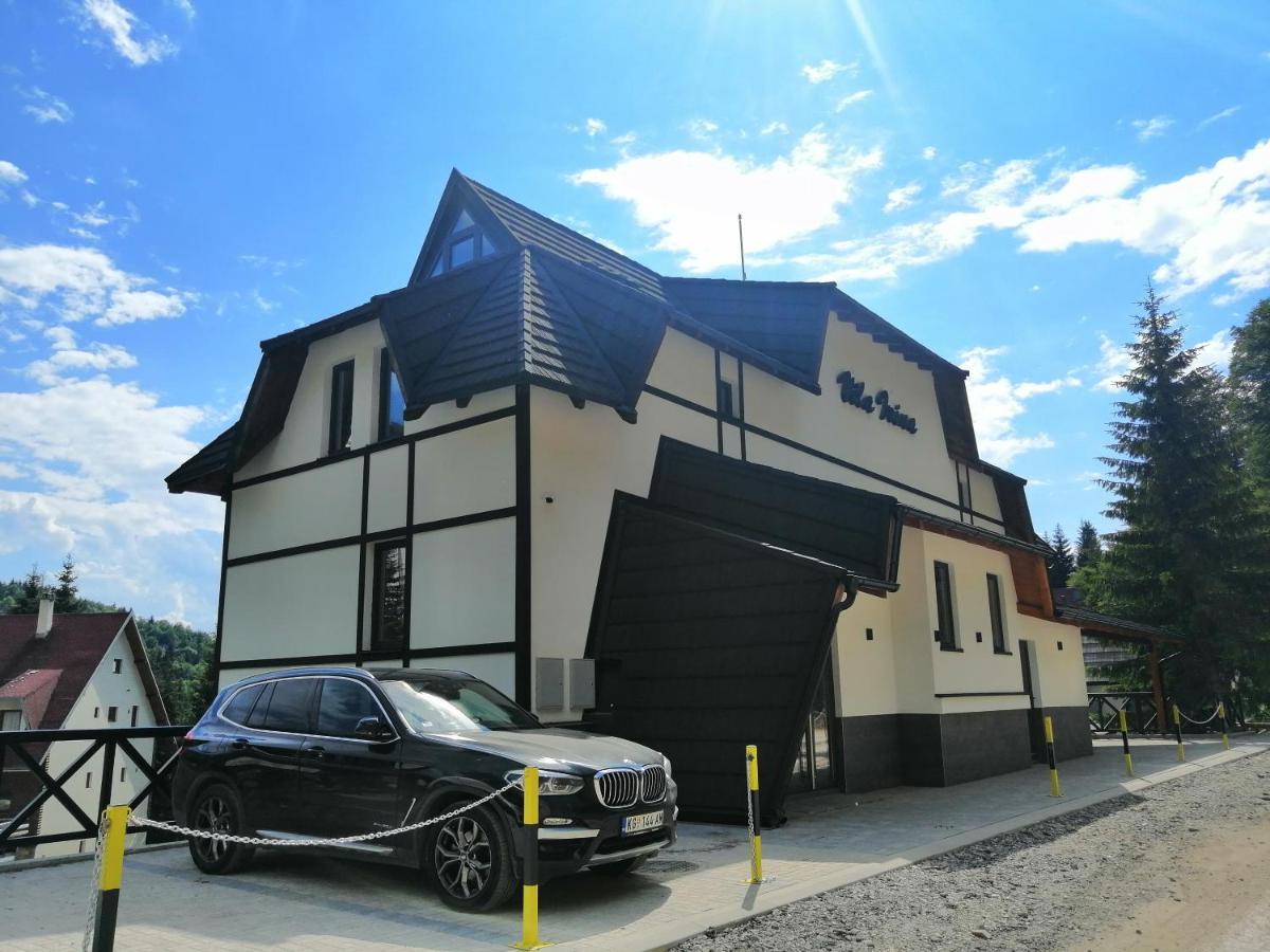 Vila Irina Kopaonik - Apartman Jovana Экстерьер фото