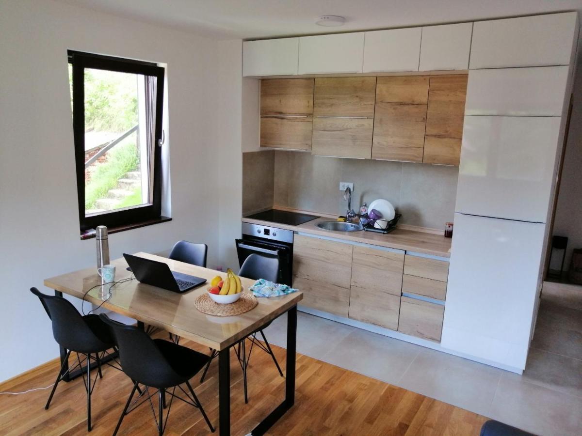 Vila Irina Kopaonik - Apartman Jovana Экстерьер фото