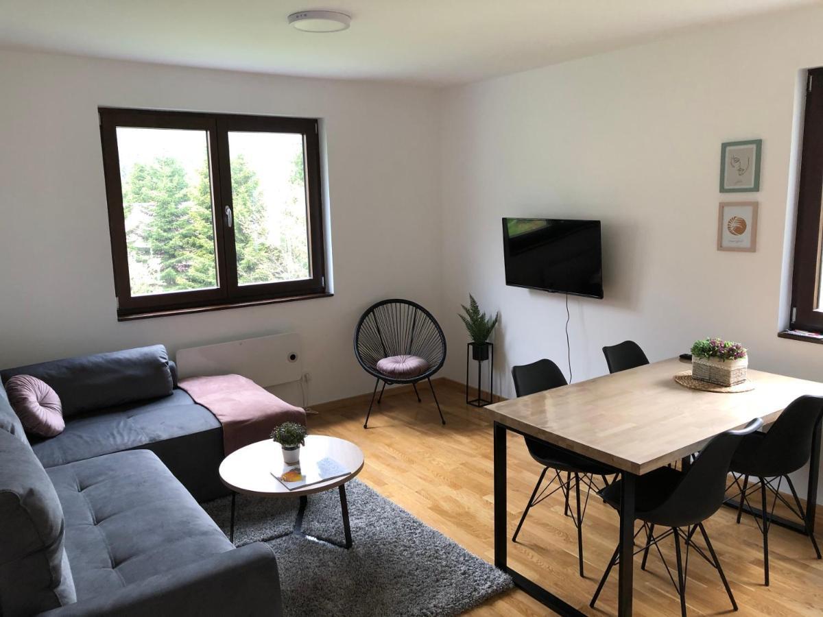 Vila Irina Kopaonik - Apartman Jovana Экстерьер фото