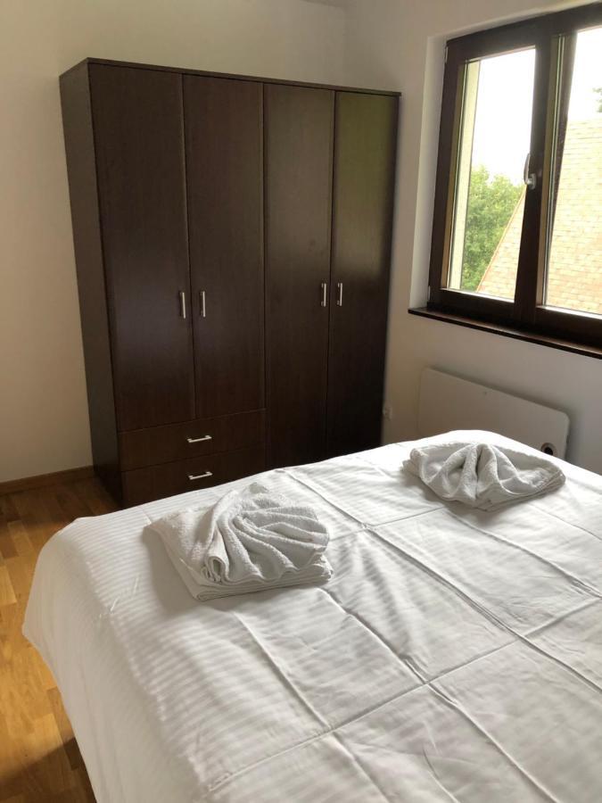 Vila Irina Kopaonik - Apartman Jovana Экстерьер фото