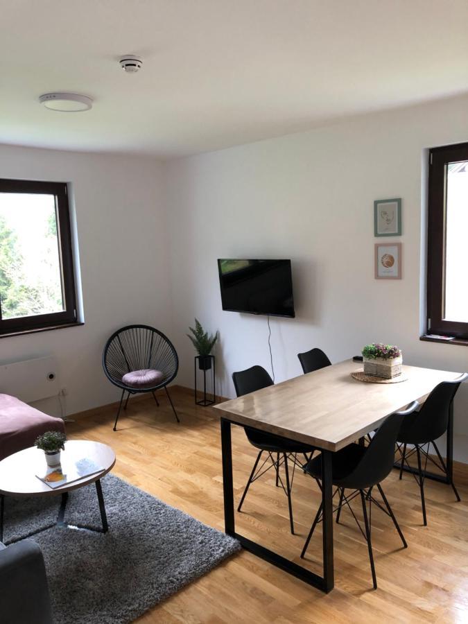 Vila Irina Kopaonik - Apartman Jovana Экстерьер фото