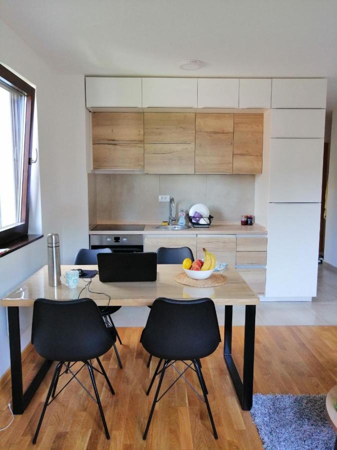 Vila Irina Kopaonik - Apartman Jovana Экстерьер фото