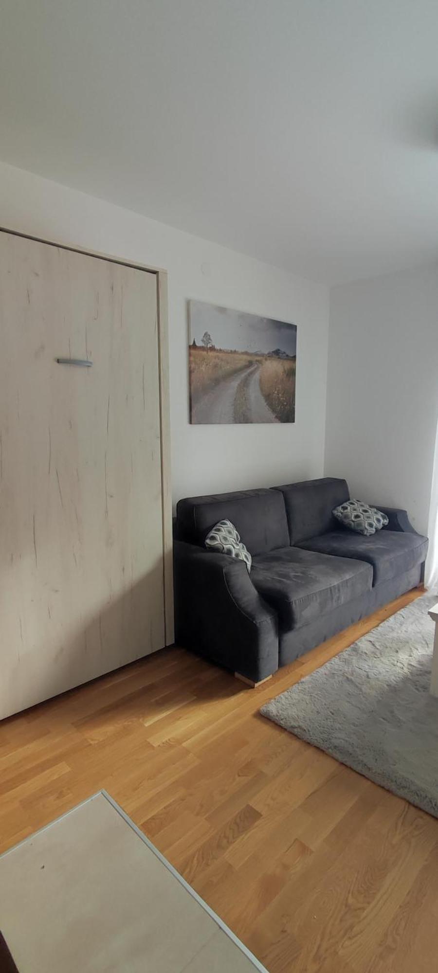 Vila Irina Kopaonik - Apartman Jovana Экстерьер фото