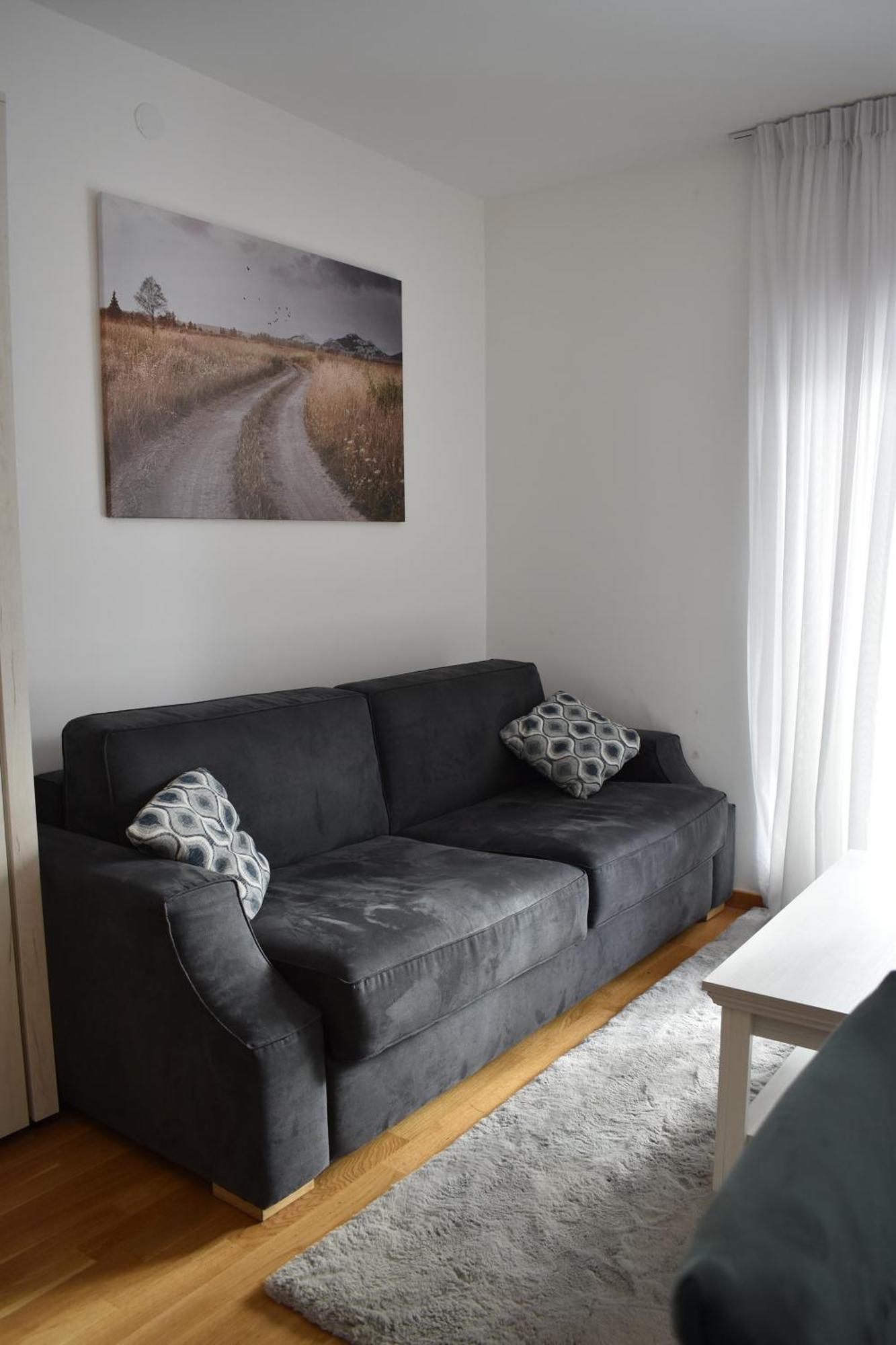 Vila Irina Kopaonik - Apartman Jovana Экстерьер фото